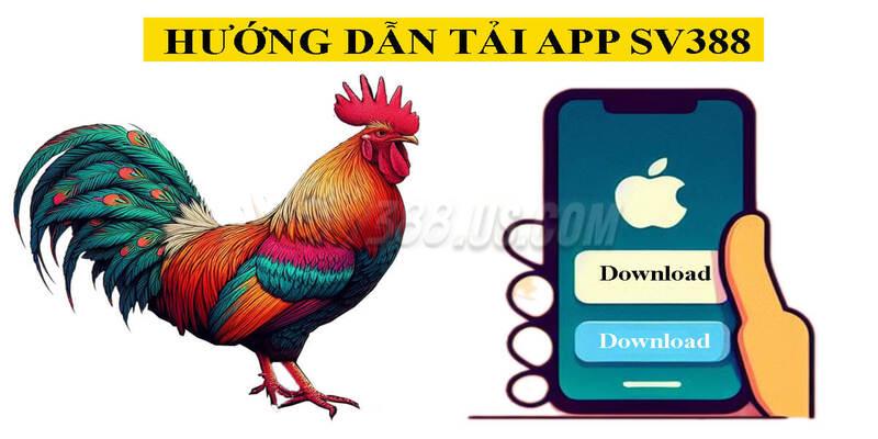3 bước tải và cài đặt ứng dụng