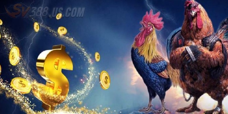 Bí kíp chơi casino thomo được đúc kết từ chuyên gia