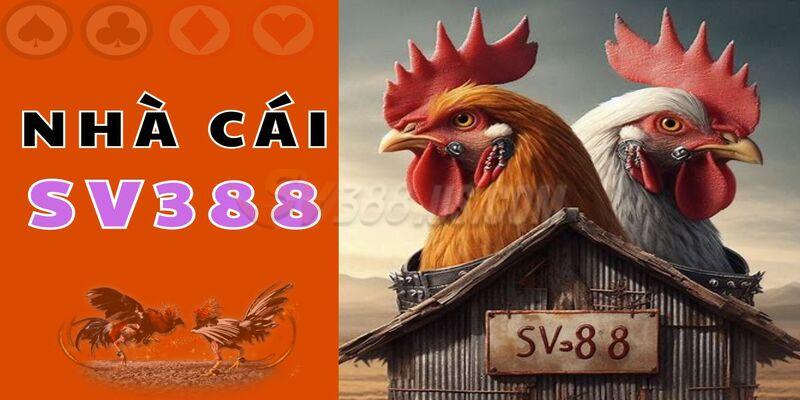 Chỉ dẫn tham gia trang đá gà cơ bản
