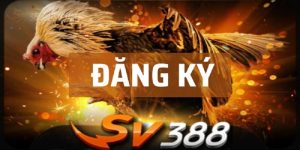Đăng Ký Đá Gà SV388 | Hoàn Tất Quá Trình Trong 1 Phút
