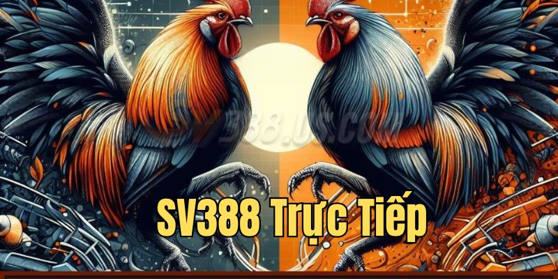 Giới thiệu sảnh live đá gà chất lượng