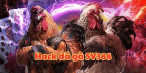 Hack Đá gà SV388 Có Thật Không? Rủi Ro Khi Sử Dụng Là gì?