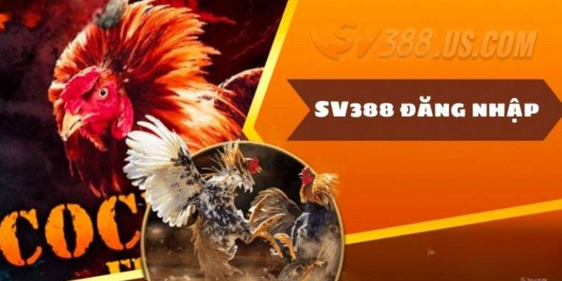 Hướng Dẫn Đăng Nhập SV388 Nhanh Chóng Cho Thành Viên Mới Hướng dẫn đăng nhập SV388 cho newbie