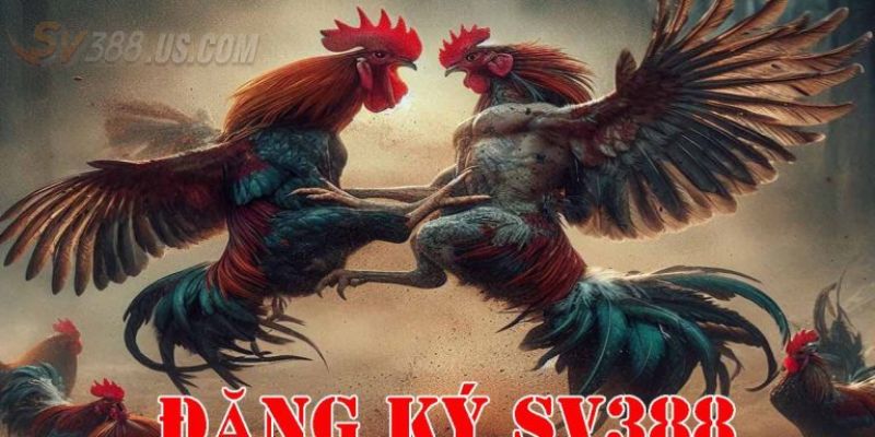 Lưu ý quan trọng để tạo tài khoản đá gà SV388