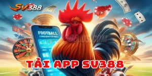 SV388 App | Quy Trình Tải Và Cài Đặt Với 3 Bước Đơn Giản