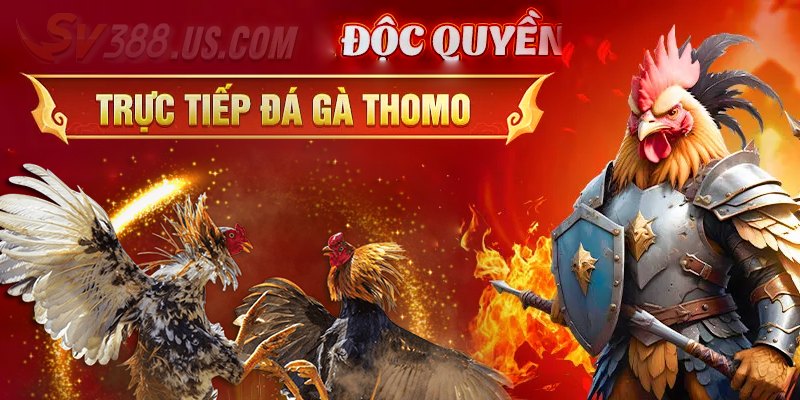 SV388 casino thomo là gì?