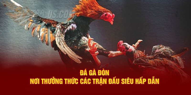 Ưu điểm khi chơi casino gà đòn