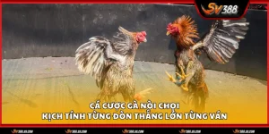 ga noi choi 1 11zon