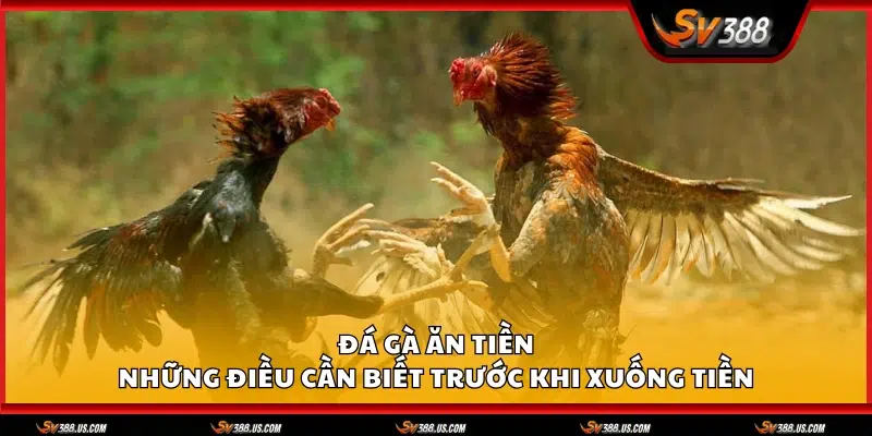 Da ga an tien